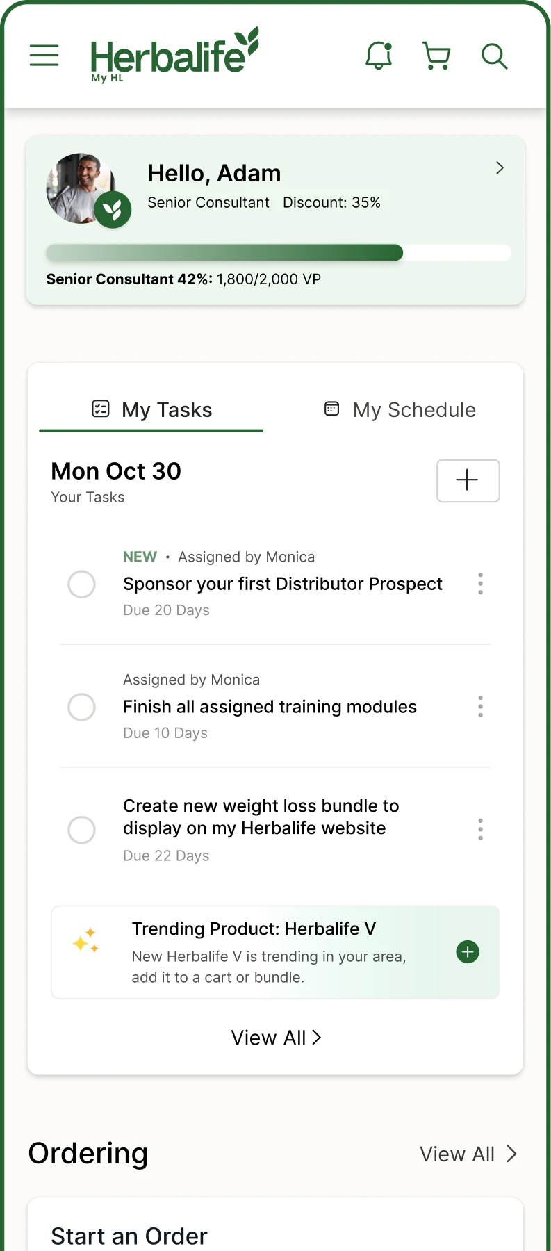 Adam — Senior Consultant mobile dashboard